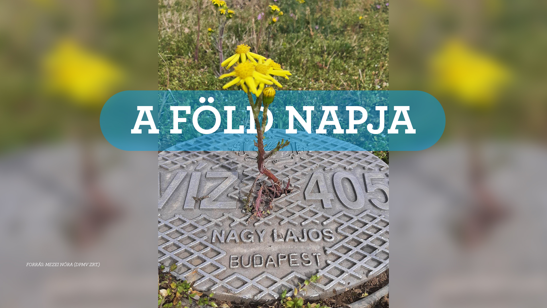Április 22. - A Föld Napja