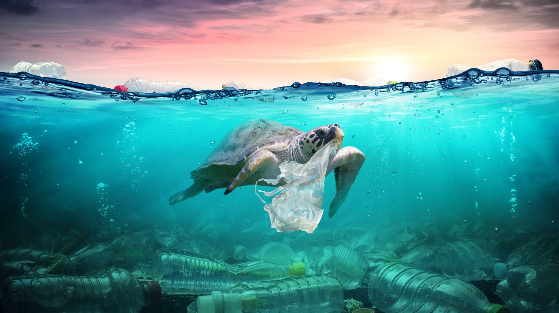 Plastic Free July - műanyagmentes július