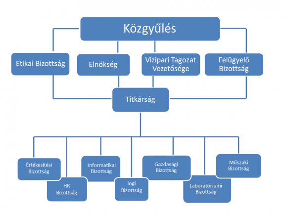 Szervezeti felépítés